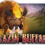 blazin buffalo