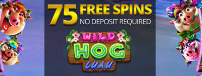 Free No Deposit Casinos New Zealand