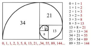 Fibonacci System