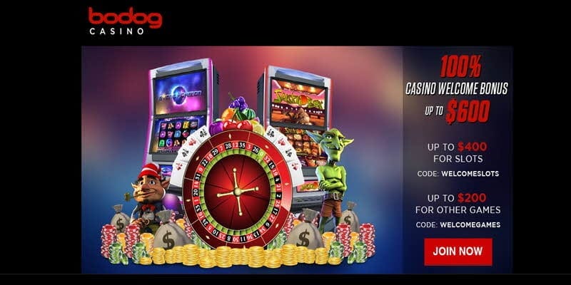 bodog winners big pay out