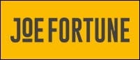 joe fortune casino review logo