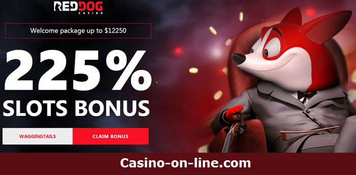 Red Dog Casino 