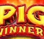 Pig Winner