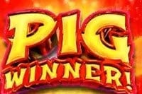 Pig Winner