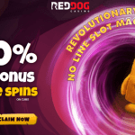 50 Free Spins