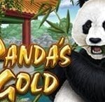 Panda’s Gold Slot