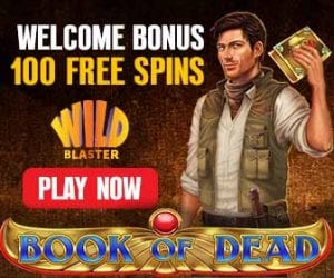 Wildblaster Casino