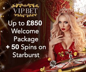 Vip Bet Casino