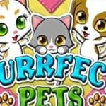 Purrfect Pets