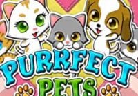 Purrfect Pets