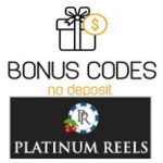 Platinum Reels Casino