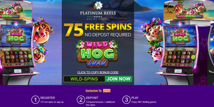 Wild Hog Luau Slot