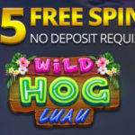 Wild Hog Luau Slot