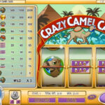 Crazy Camels Slot