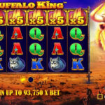 Buffalo King Slot