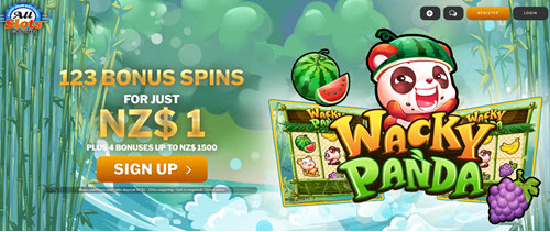 All Slots Casino NZ