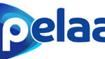 pelaa casino