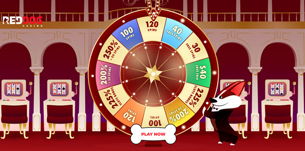 Red Dog Casino 100 Free Spins