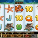 Dolphin Reef Slot