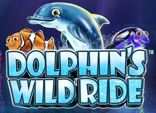 Dolphin's Wild Ride