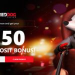 Red Dog Casino