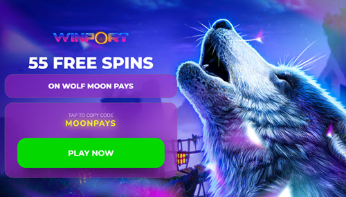 Winport Casino No Deposit Bonus - Casino-on-line.com